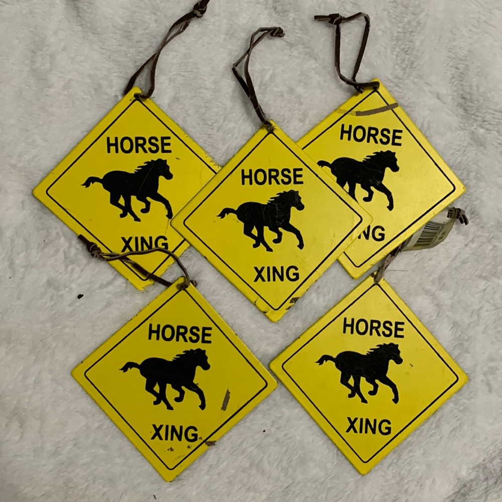 Horse 🐎 Xing Ornament or Decor Metal